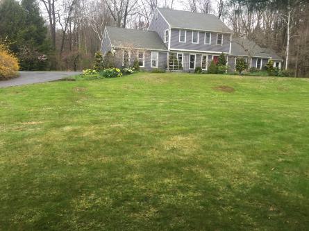 A residential house with expansive lawn